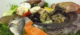 The Forester Seafood Menu