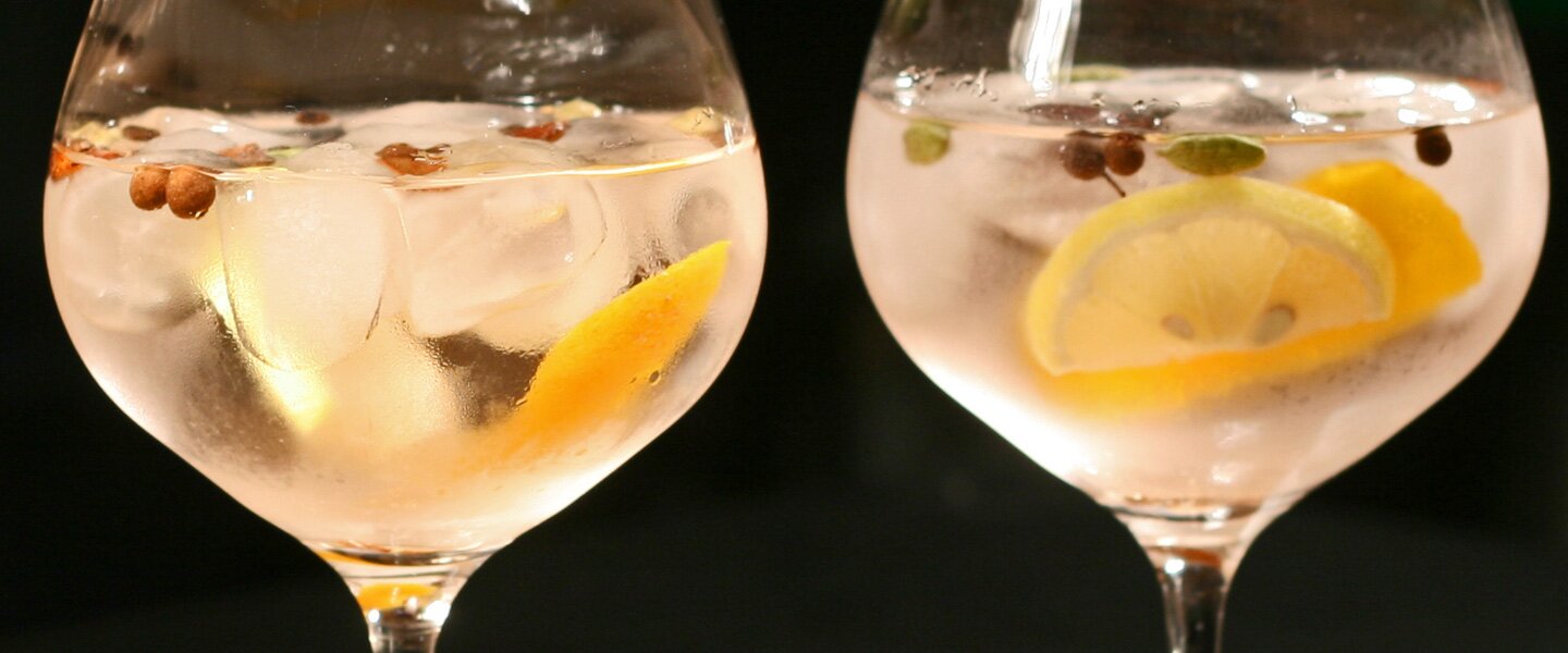 The Forester Banner - Spanish Gin 01